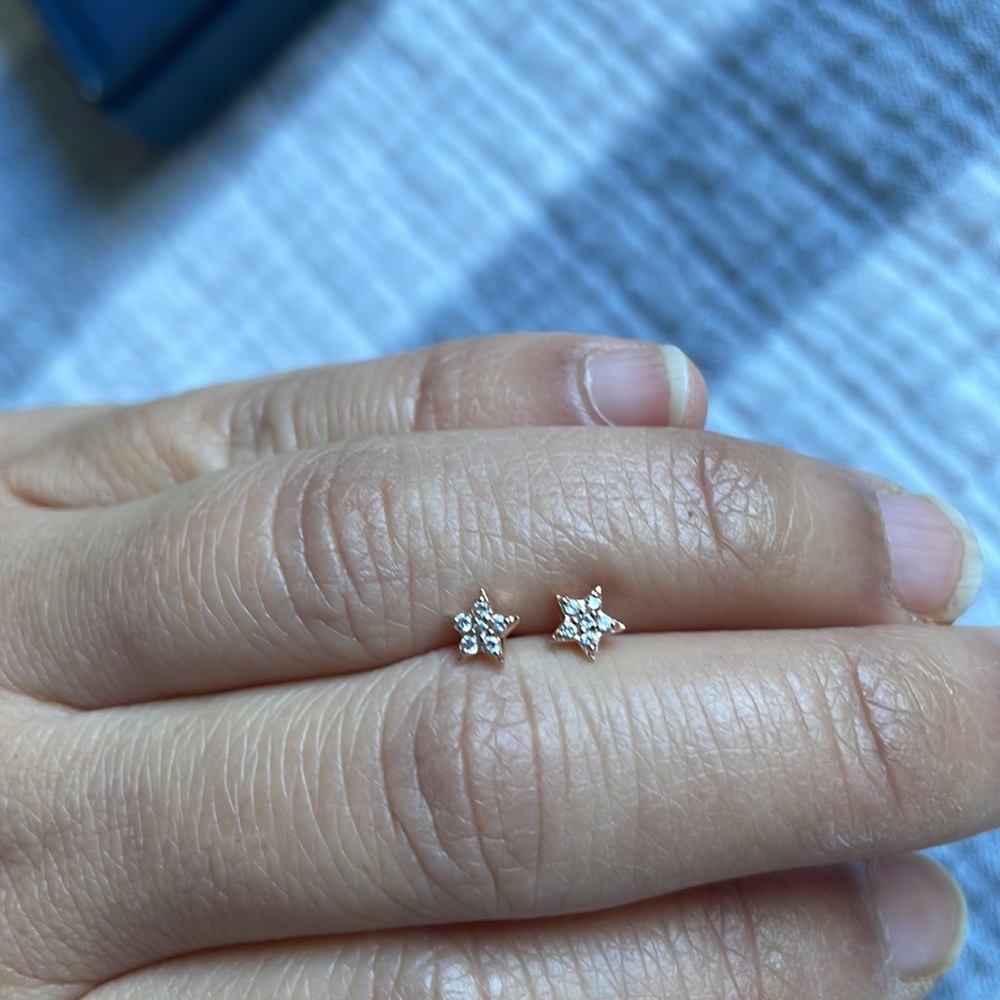 14 K Rose Gold Earrings